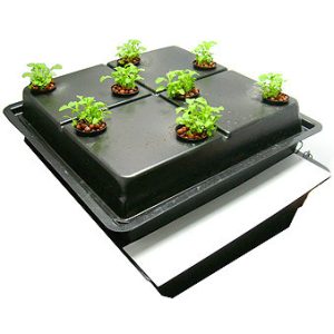 Aeroponic Growing Systems